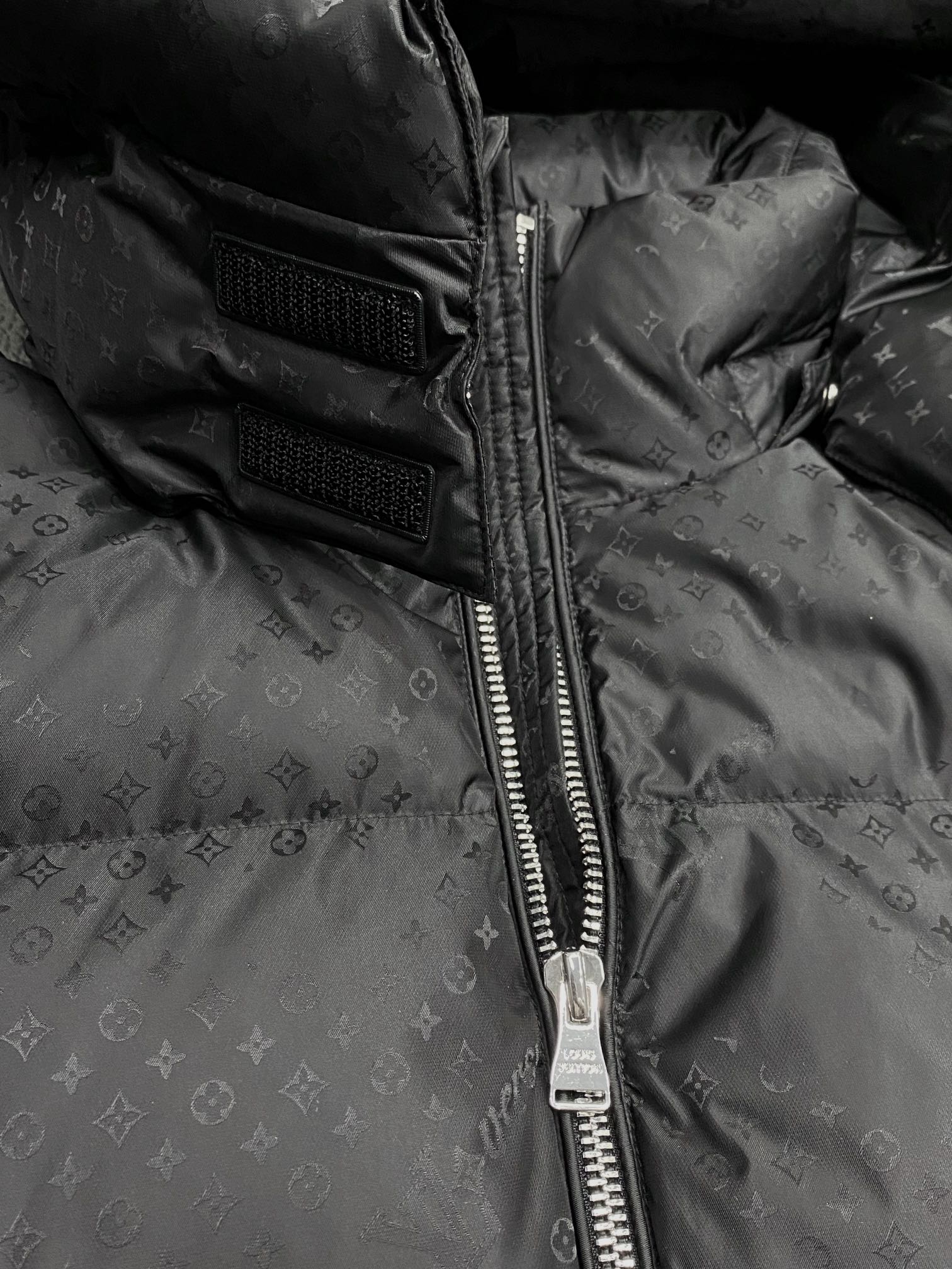 Louis Vuitton Down Jackets